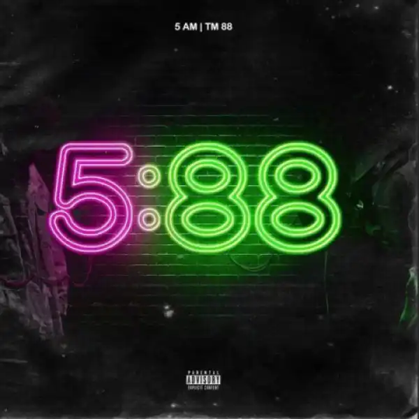 5:am - Flashing Lights (feat. TM88)